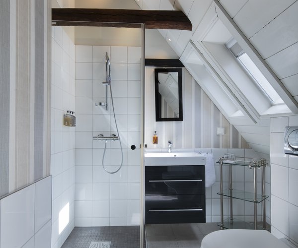 Bathroom in the petite standard room