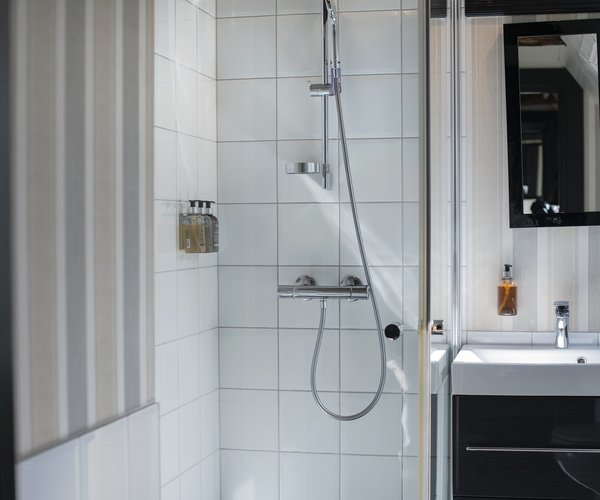 Shower and washbasin in the petite standard room