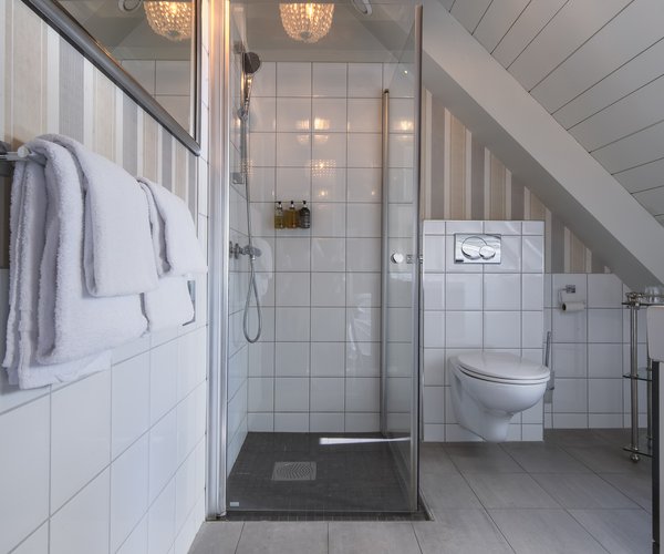 Bathroom seen from the petite standard room