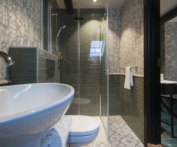 Bath and shower in the standard room bathroom